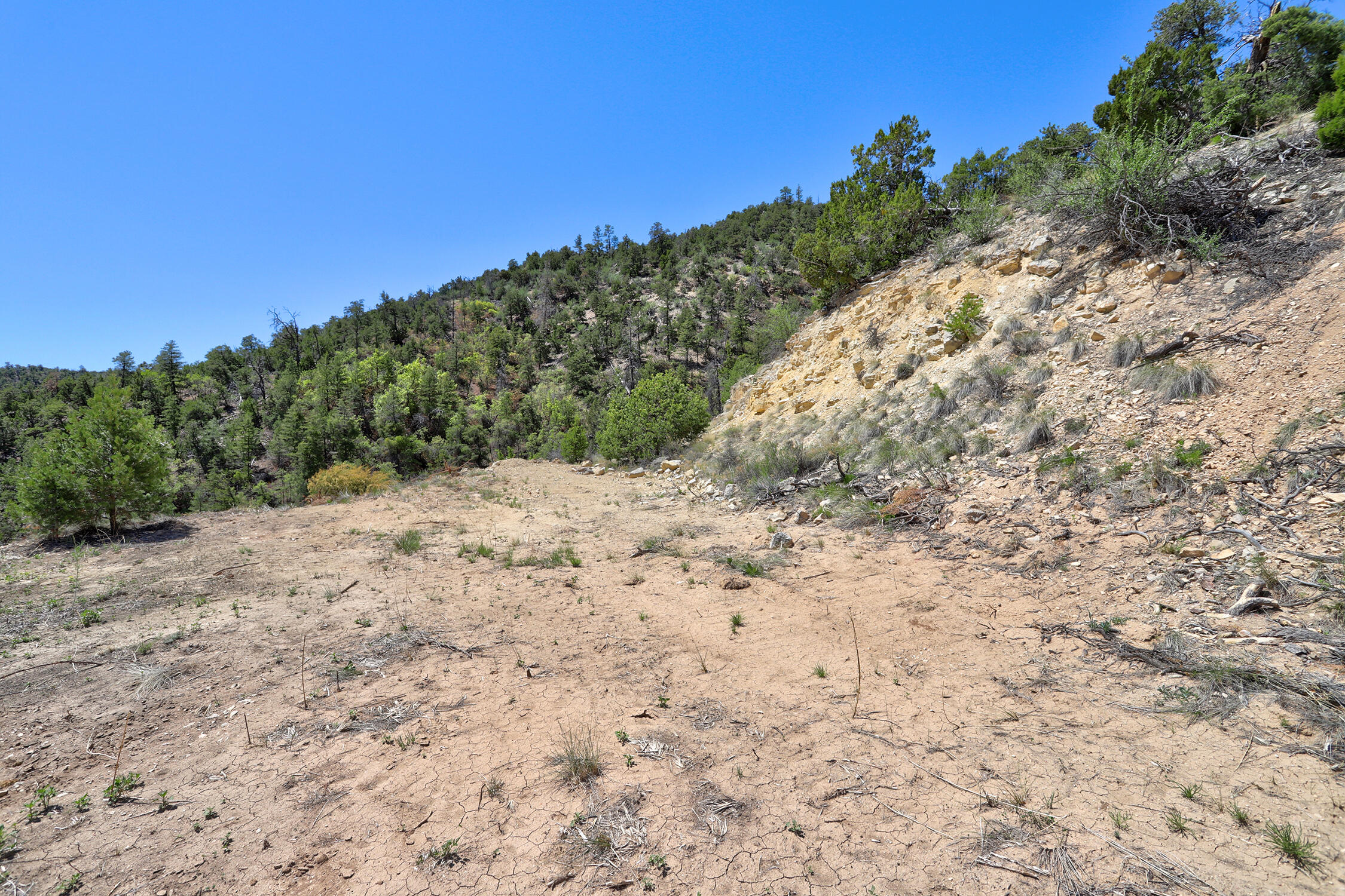 Lot 85 Cebolla Loop, Jemez Springs, New Mexico image 16