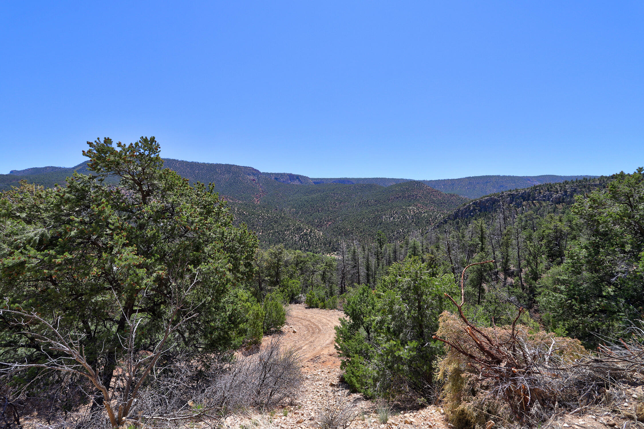 Lot 85 Cebolla Loop, Jemez Springs, New Mexico image 8