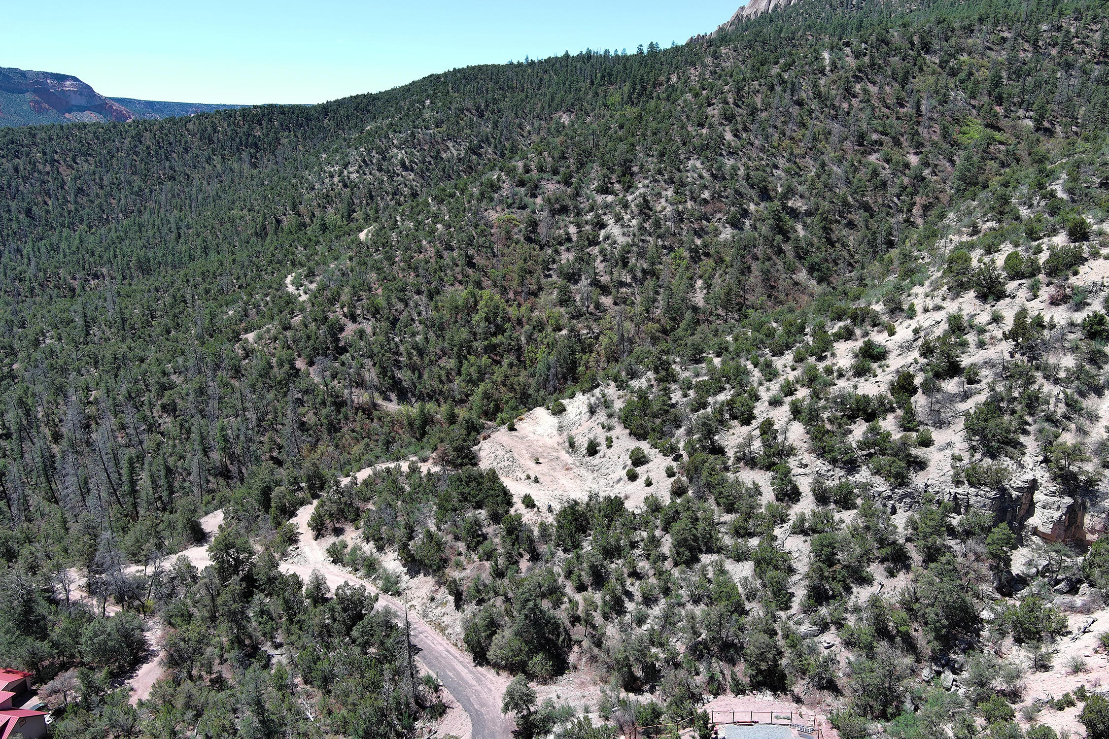 Lot 85 Cebolla Loop, Jemez Springs, New Mexico image 18