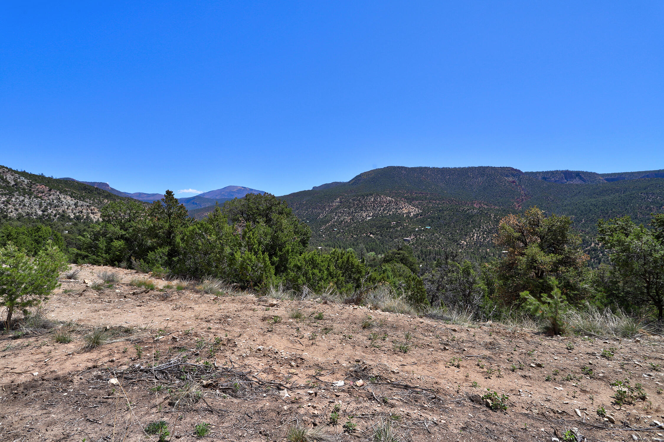 Lot 85 Cebolla Loop, Jemez Springs, New Mexico image 12