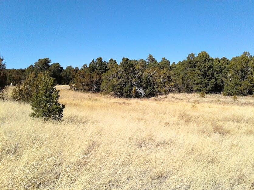 Photo 3 of 4 of 109 JESSE JAMES Road land