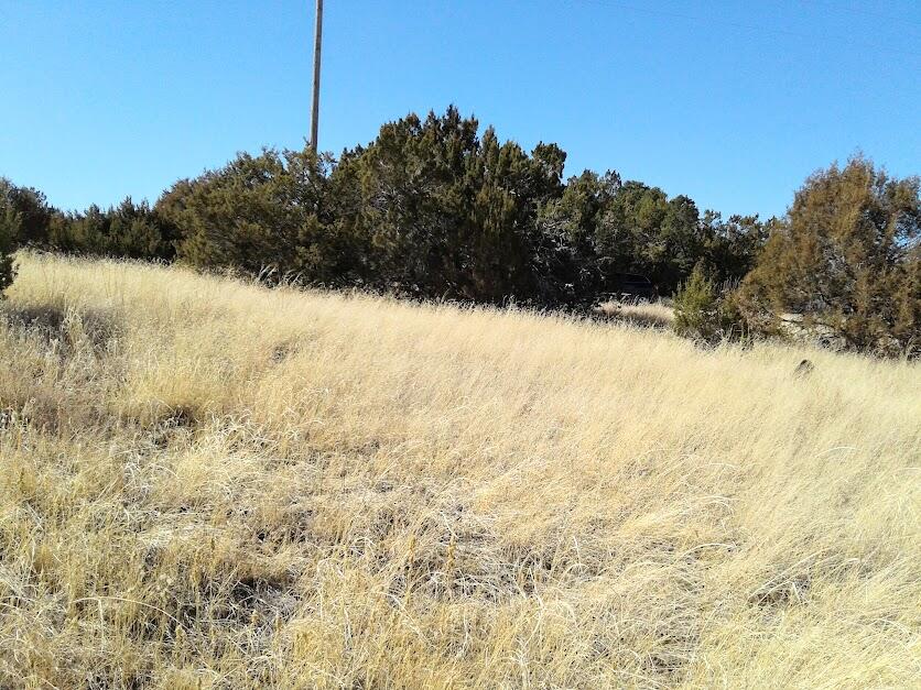 Photo 2 of 4 of 109 JESSE JAMES Road land
