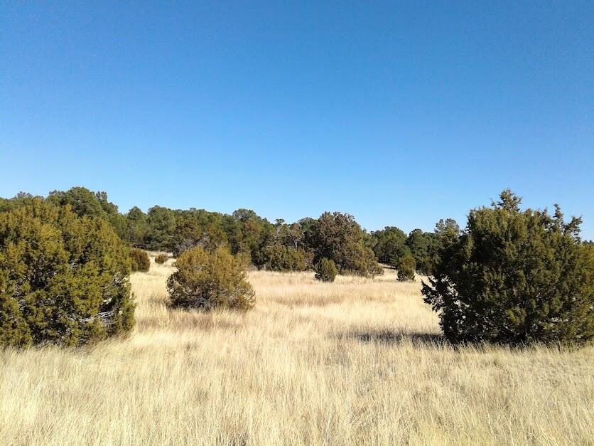 Photo 1 of 4 of 109 JESSE JAMES Road land