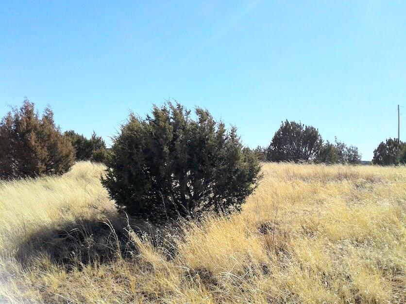 Photo 4 of 4 of 109 JESSE JAMES Road land