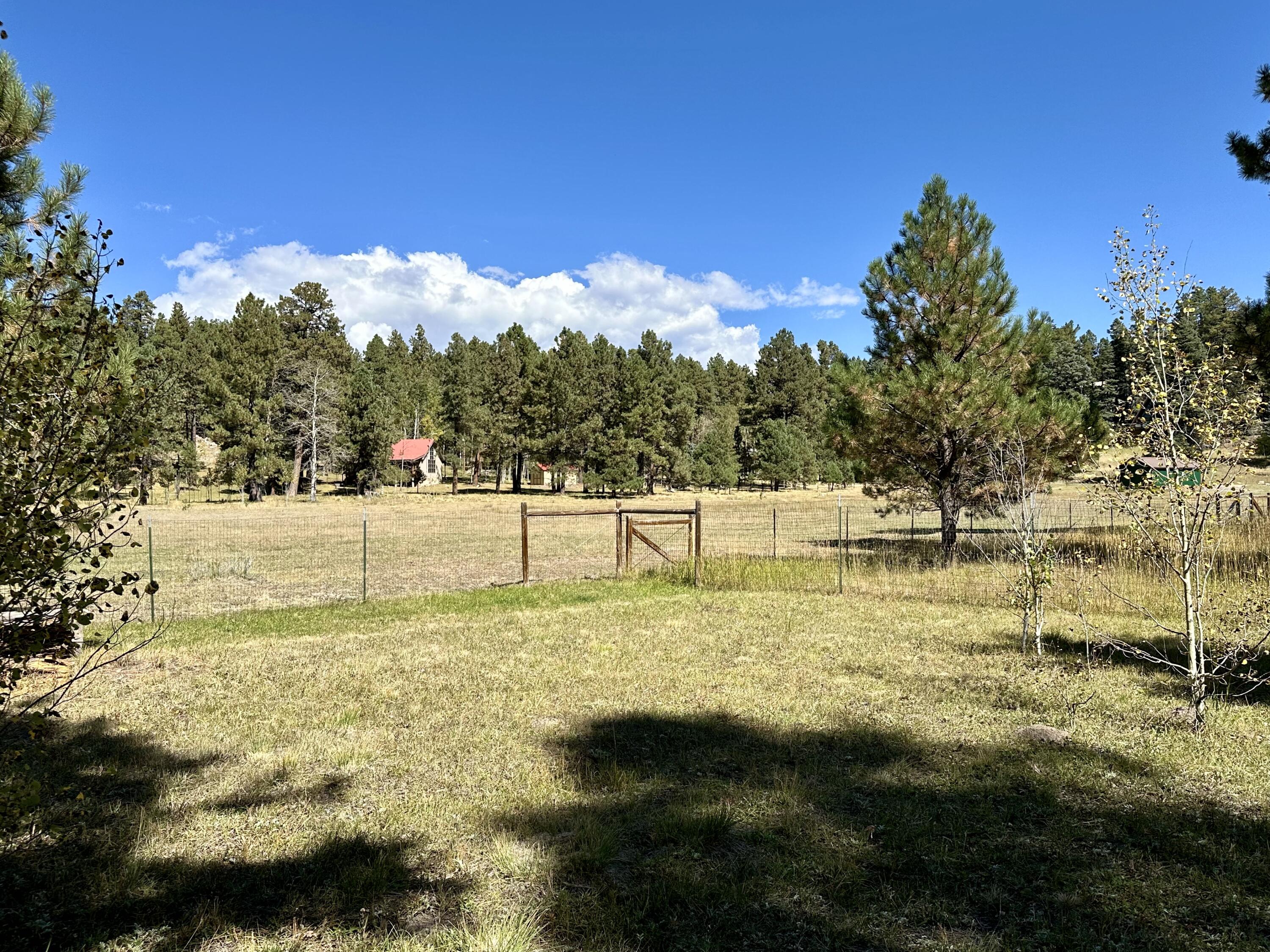 73 Porcupine Trail, Jemez Springs, New Mexico image 30