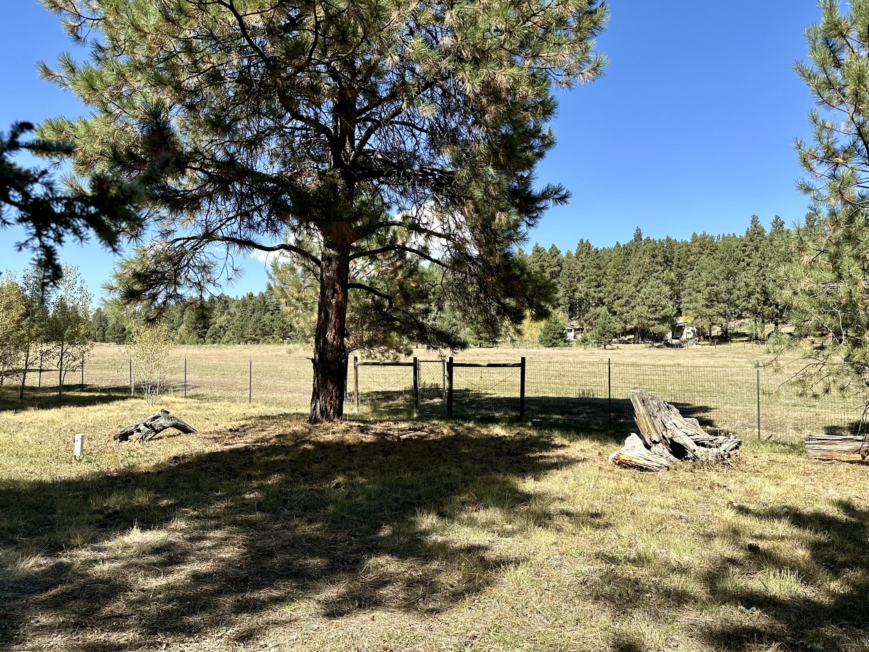 73 Porcupine Trail, Jemez Springs, New Mexico image 31