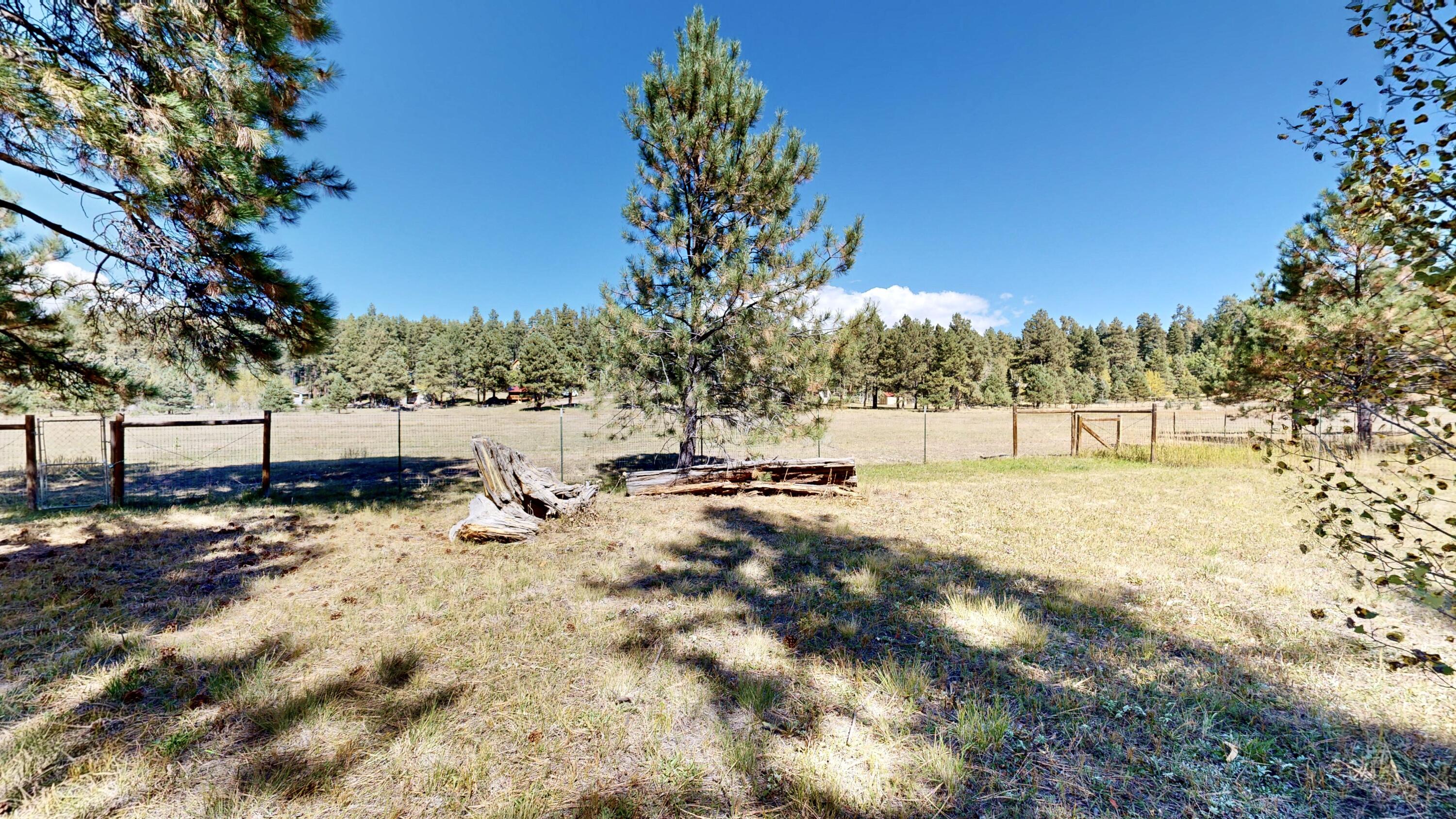 73 Porcupine Trail, Jemez Springs, New Mexico image 39