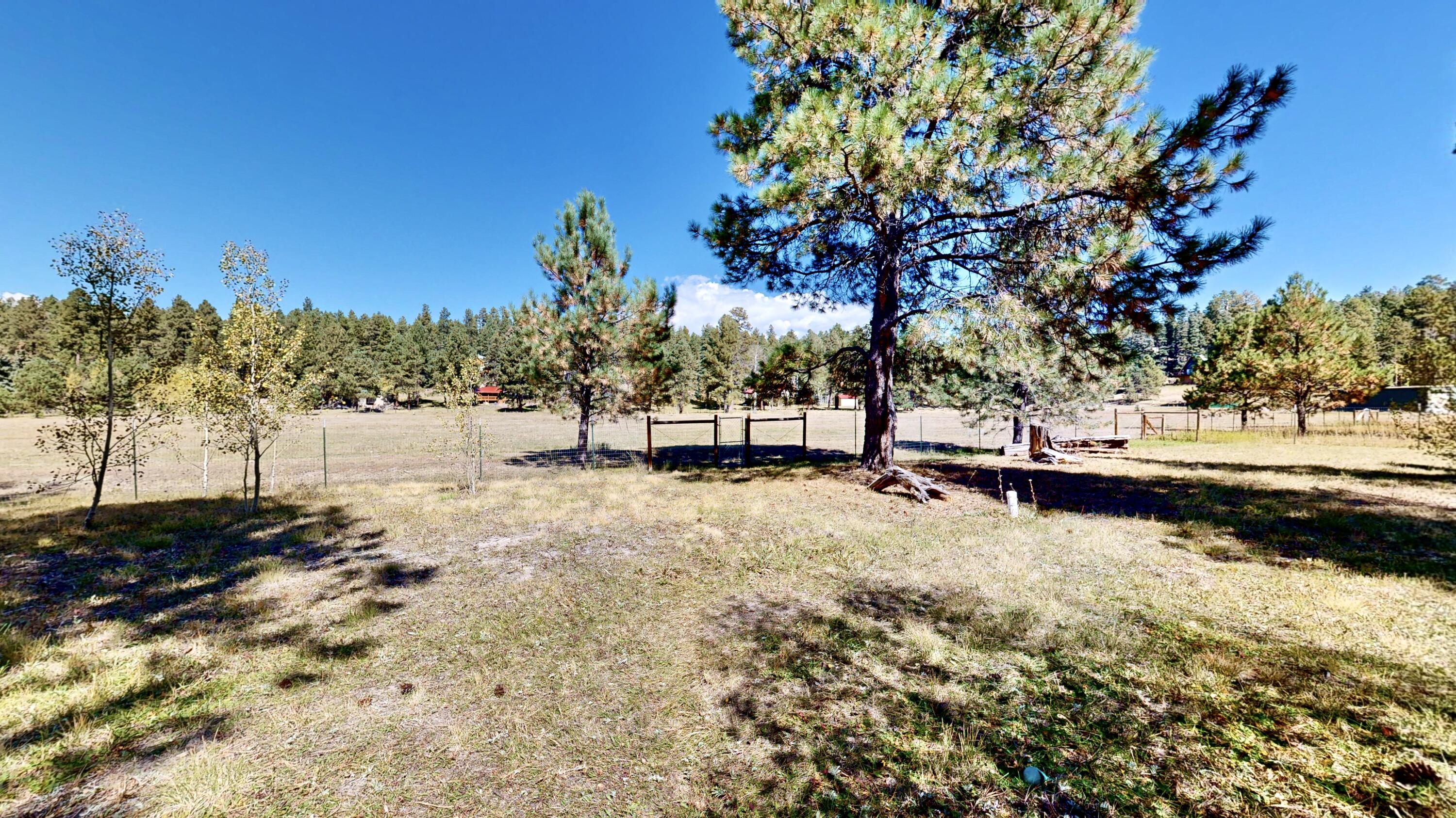 73 Porcupine Trail, Jemez Springs, New Mexico image 38