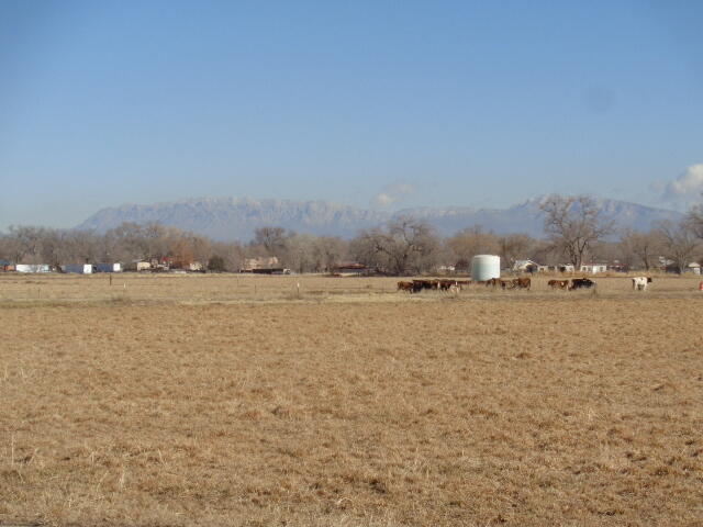 240 Sutton Lane, Bosque Farms, New Mexico image 5