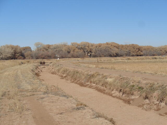 240 Sutton Lane, Bosque Farms, New Mexico image 10