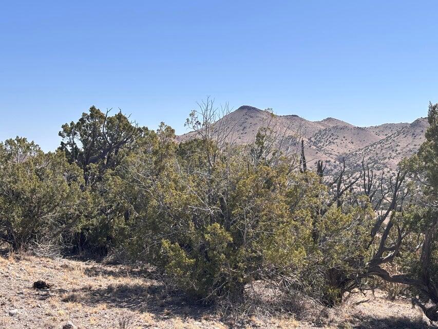 Lot 124 Abbe Springs