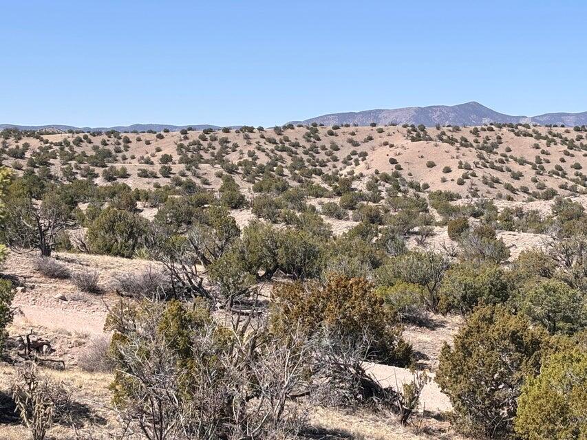 Lot 124 Abbe Springs
