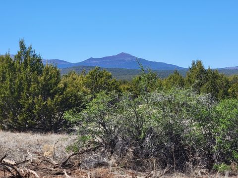 Vacant Land For Sale - 172 Rosewood Drive<br/> Tajique, NM 87016