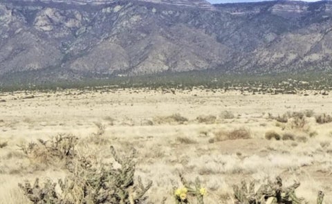 Vacant Land For Sale - S Rio Del Oro Lot 34 & 35<br/> Valencia County, Los Lunas, NM 87031