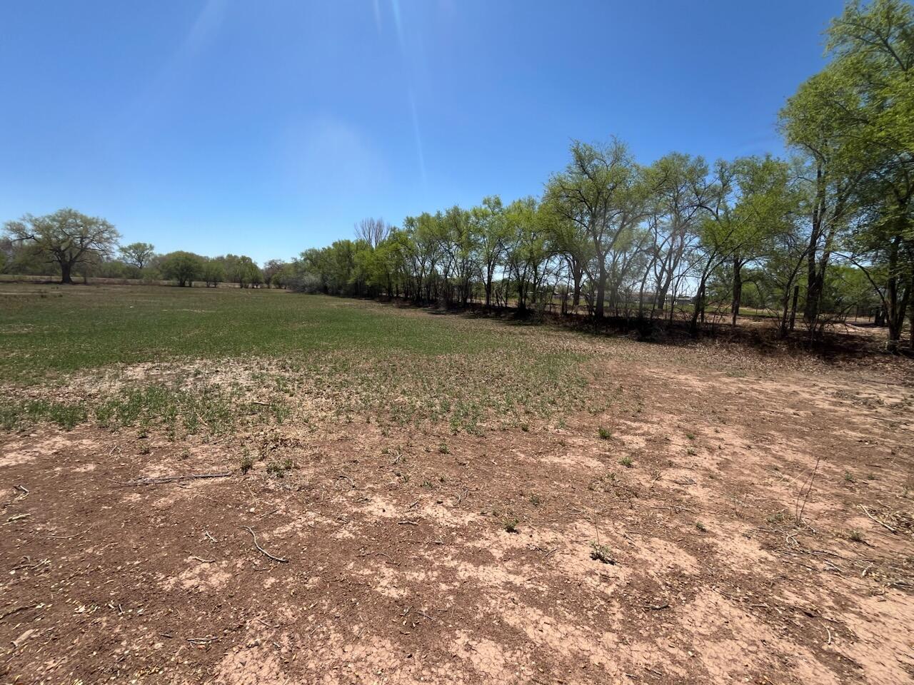 1 Calle De Oro, Los Lunas, New Mexico image 5