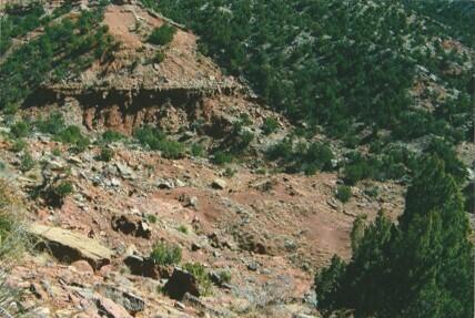 70 Bull Canyon Loop, Newkirk, New Mexico image 4