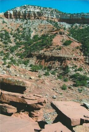 70 Bull Canyon Loop, Newkirk, New Mexico image 5