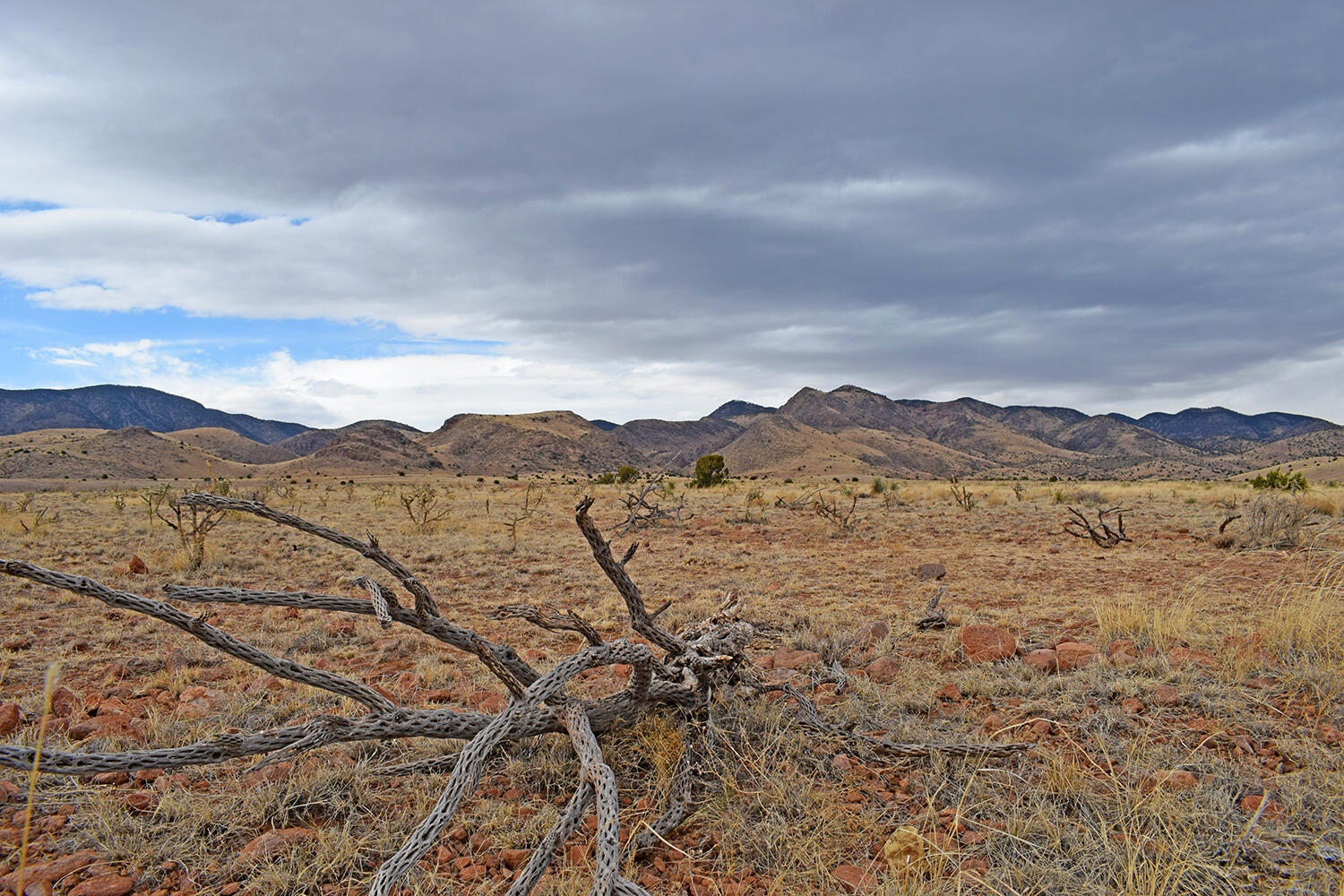 Lot 124 Golden Ridge Road, San Antonio, New Mexico image 13