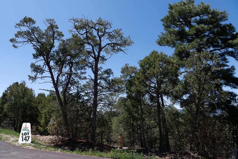 6 Los Pecos Lp Loop, Tijeras, New Mexico image 4