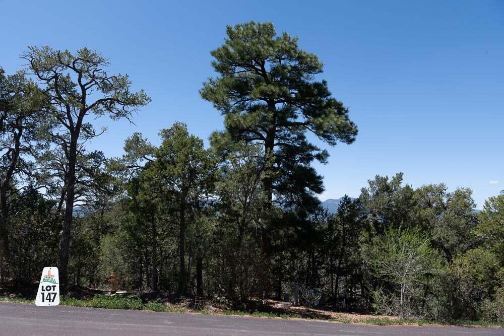 6 Los Pecos Lp Loop, Tijeras, New Mexico image 5