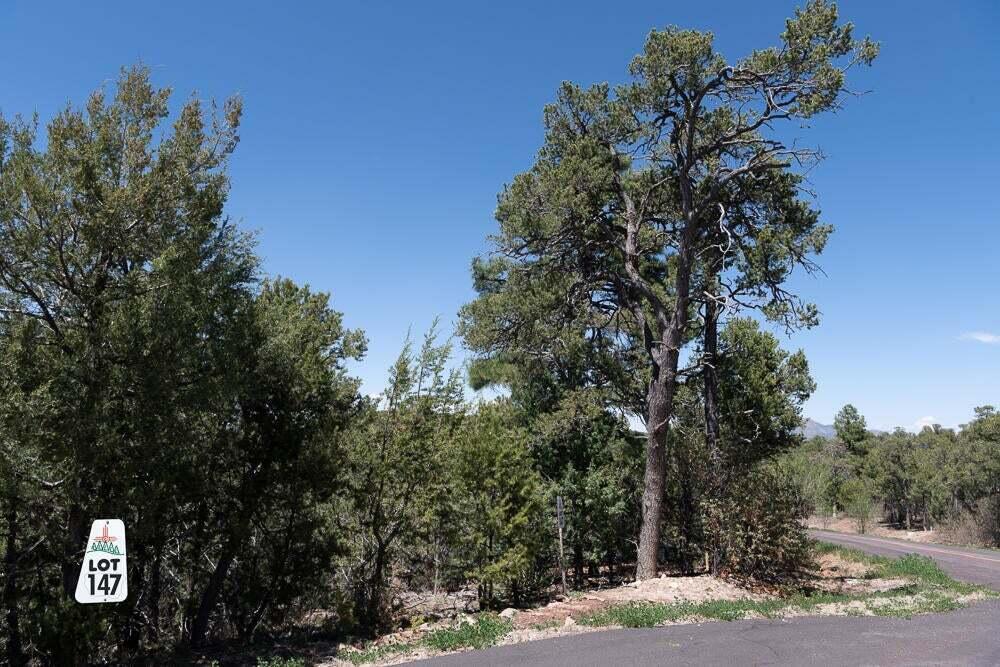 6 Los Pecos Lp Loop, Tijeras, New Mexico image 3