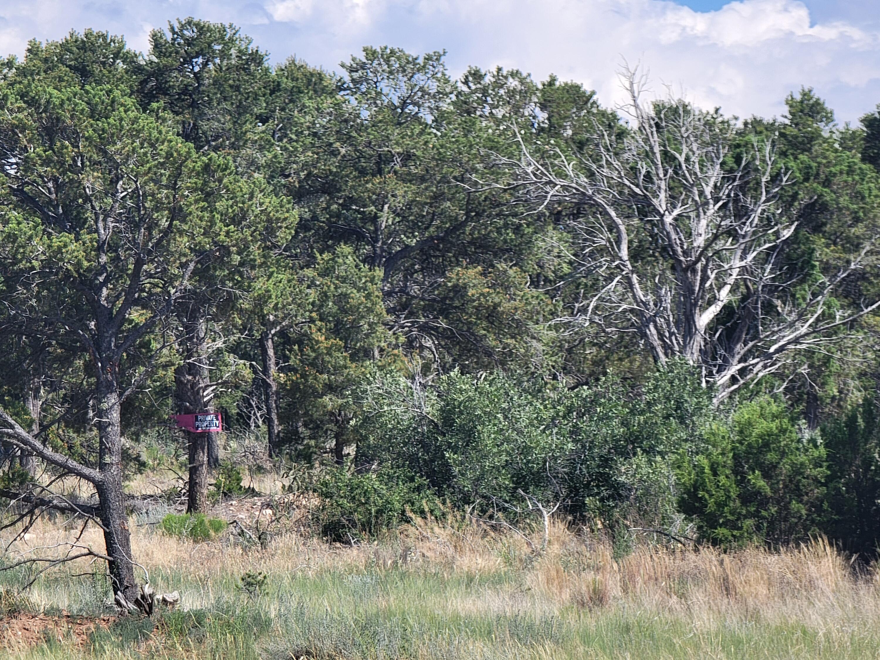 Northern Boulevard, Rio Rancho, New Mexico image 1