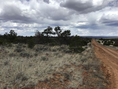 Vacant Land For Sale - LOT 39 Country Lane<br/> Ramah, NM 87321