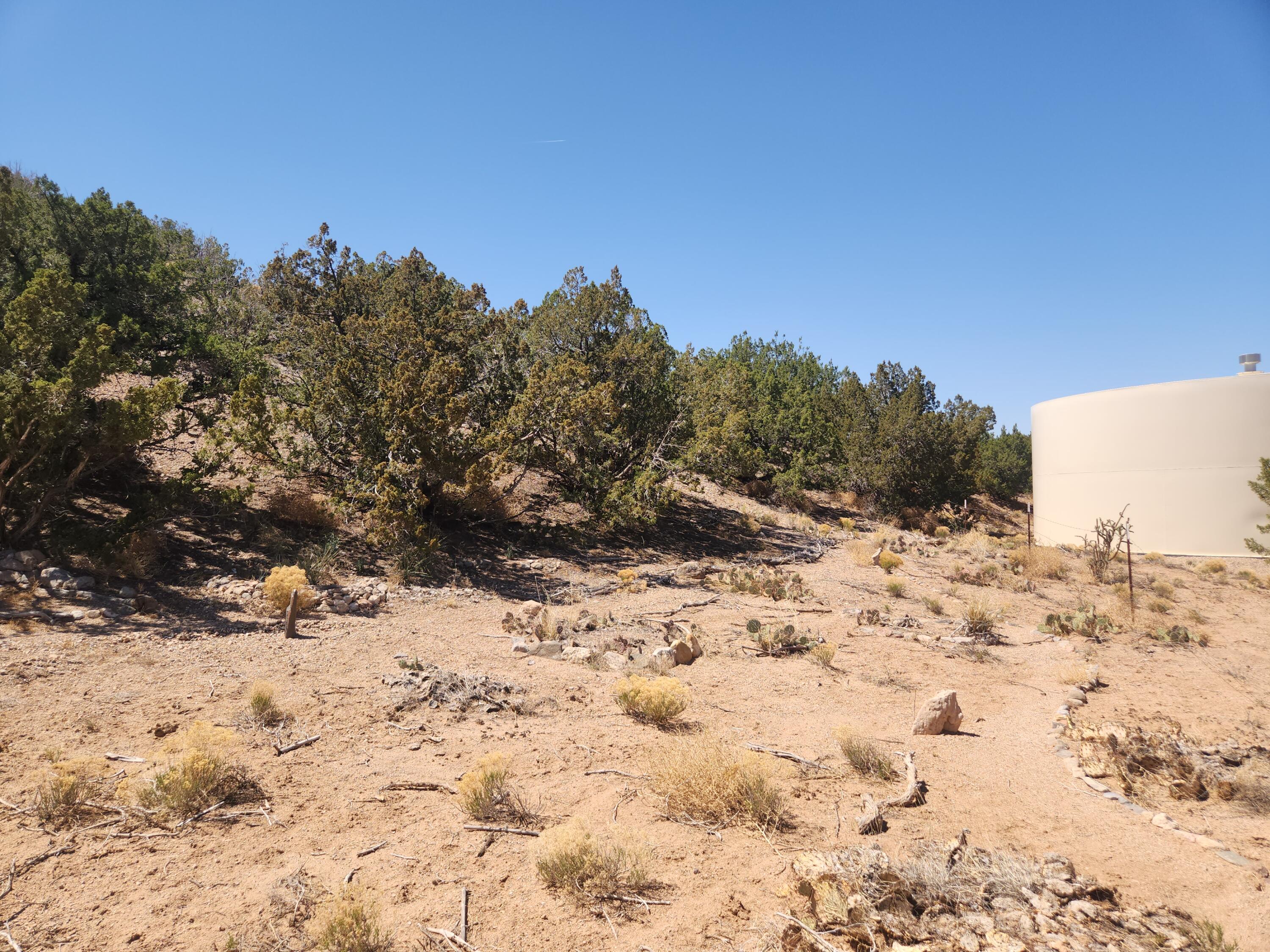36 Ridge Road, Placitas, New Mexico image 15