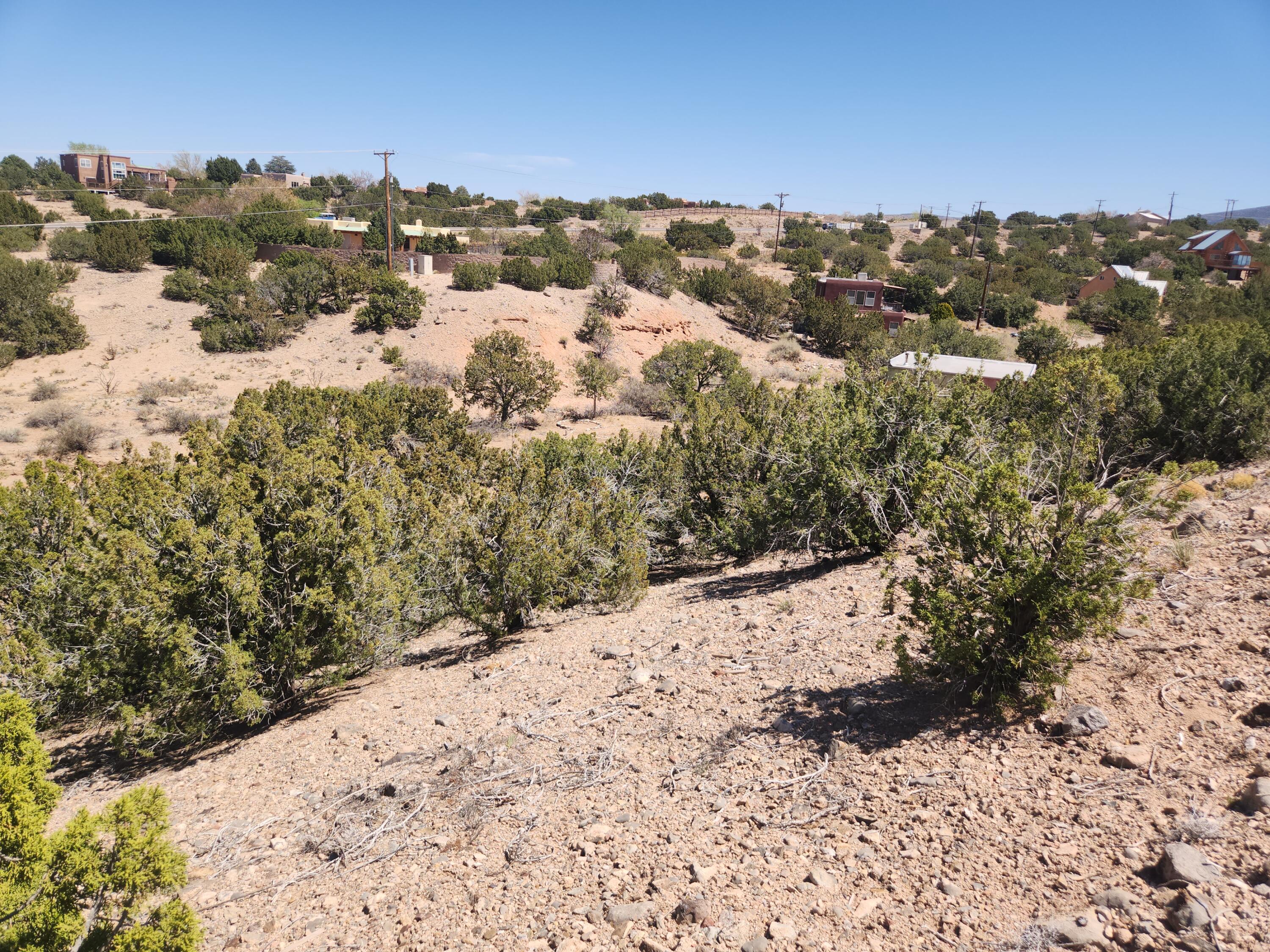 36 Ridge Road, Placitas, New Mexico image 11