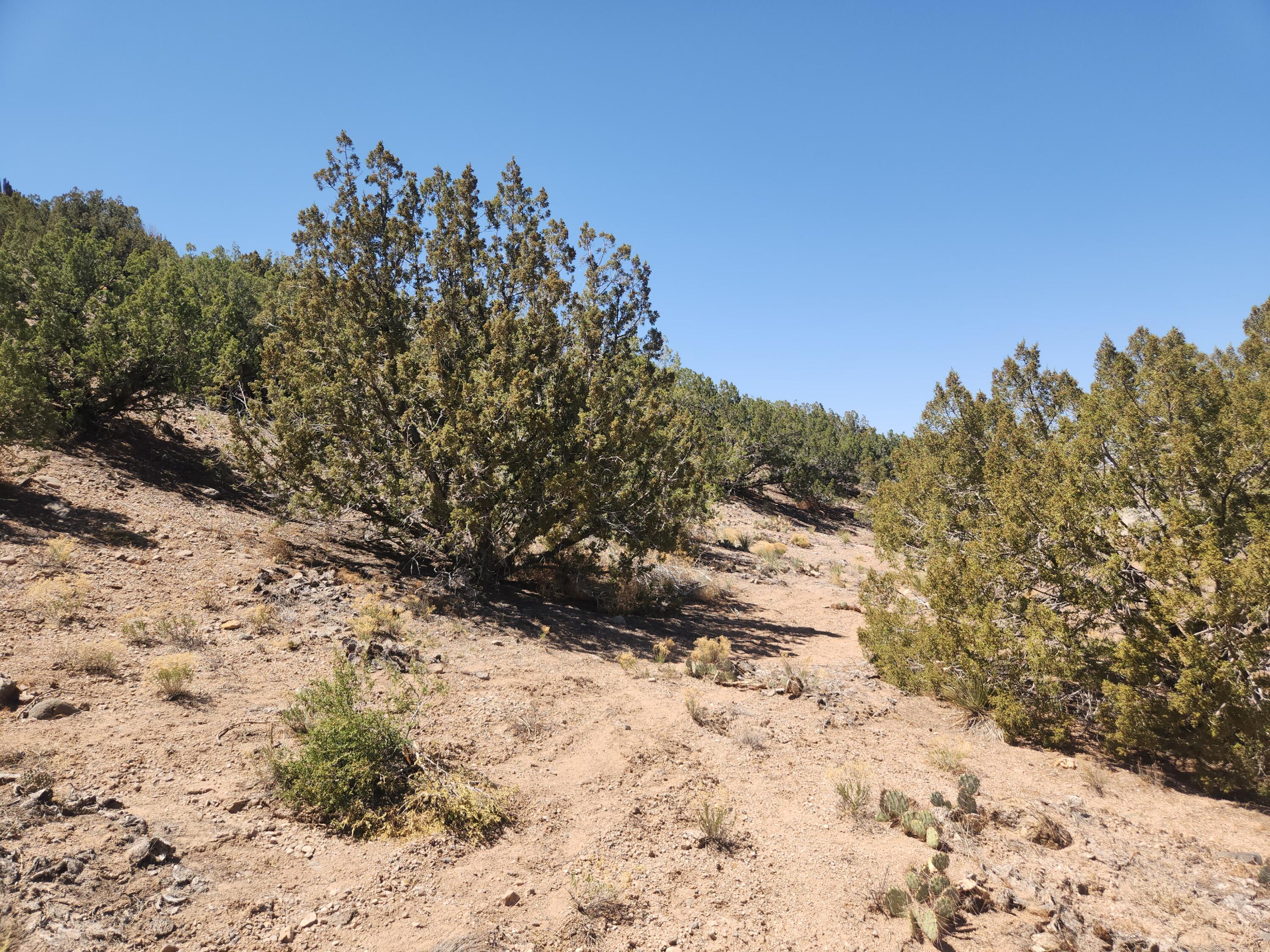 36 Ridge Road, Placitas, New Mexico image 16