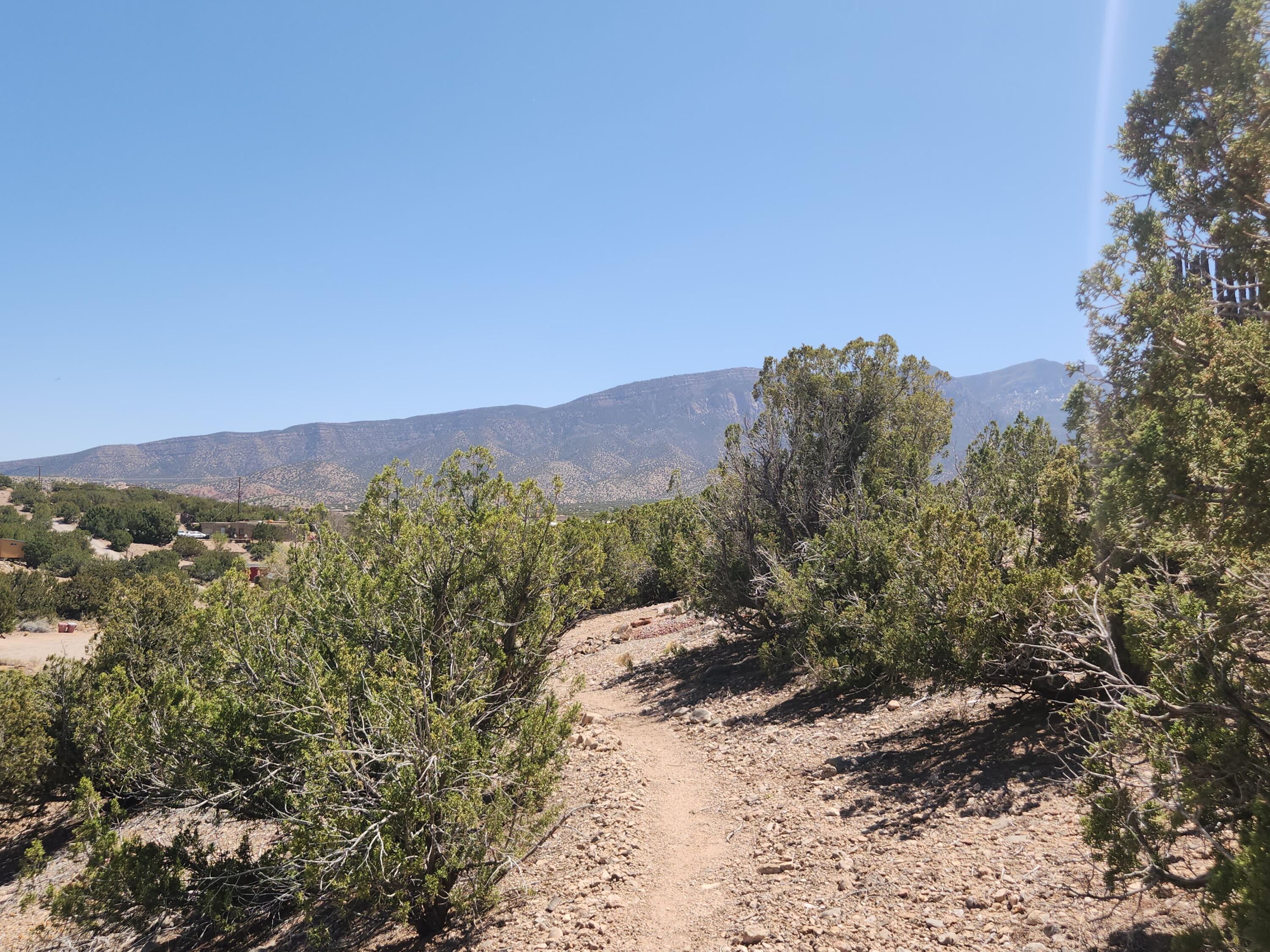 36 Ridge Road, Placitas, New Mexico image 5