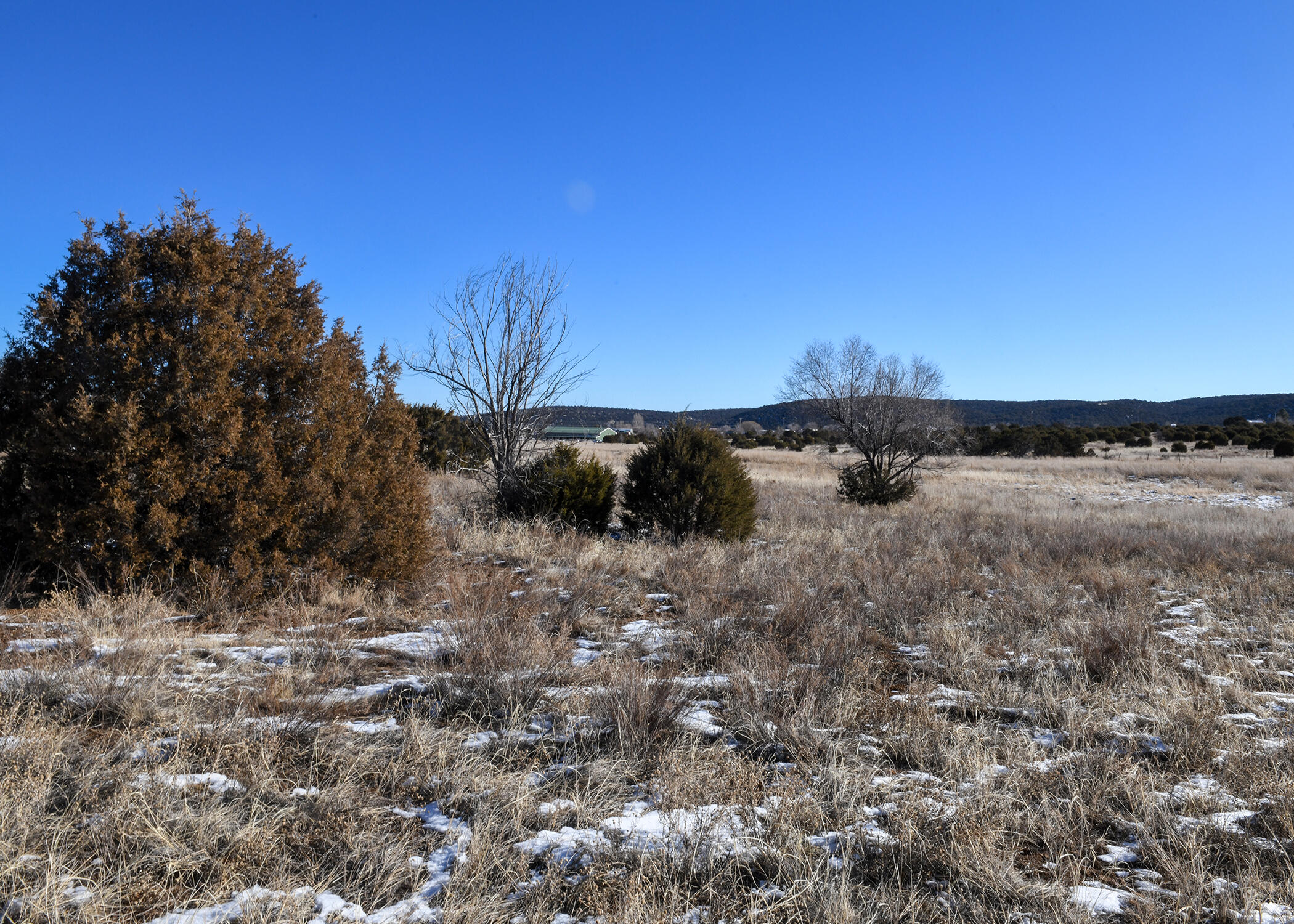 49 Mudville Rd, Edgewood, New Mexico image 3