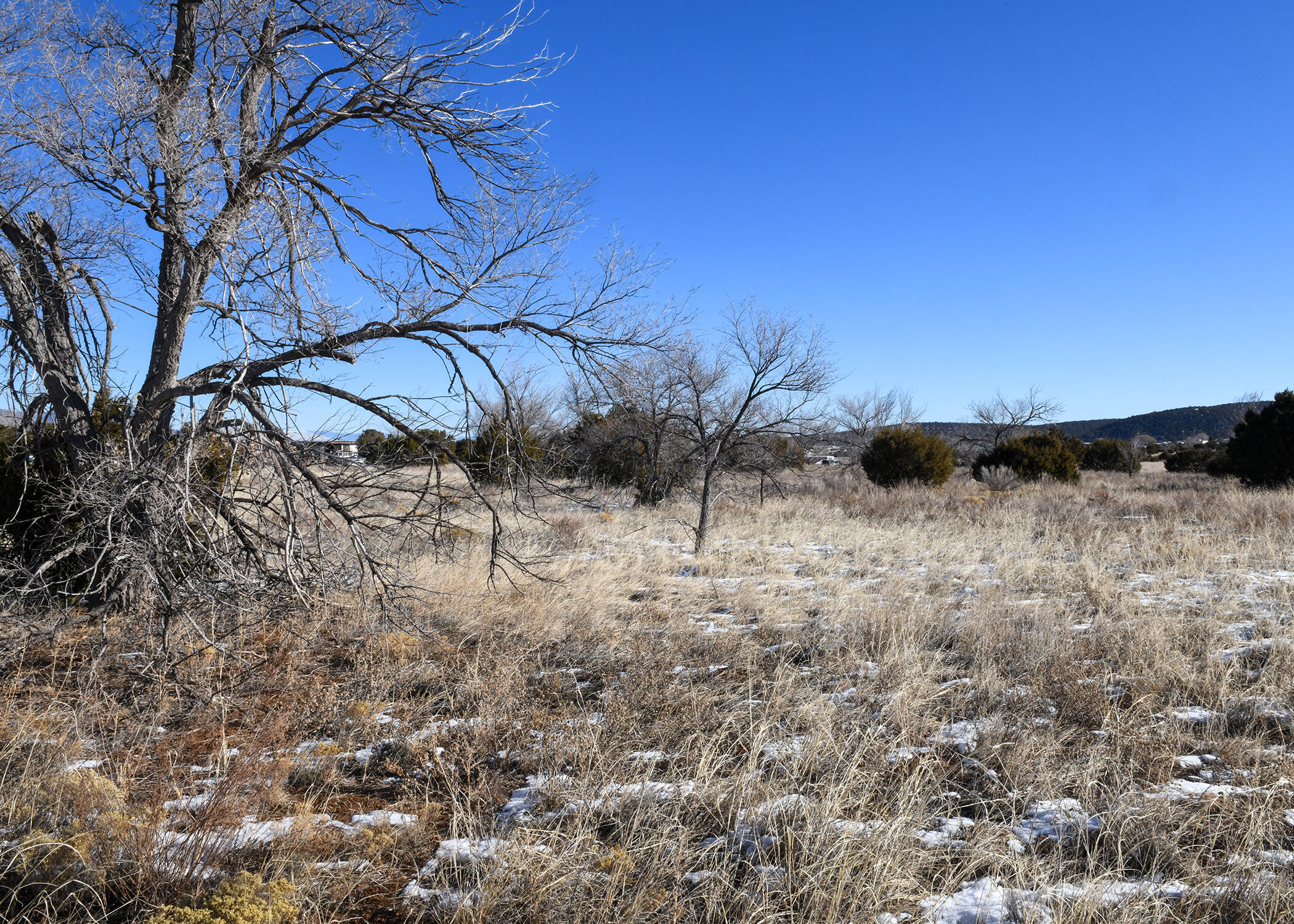 49 Mudville Rd, Edgewood, New Mexico image 4