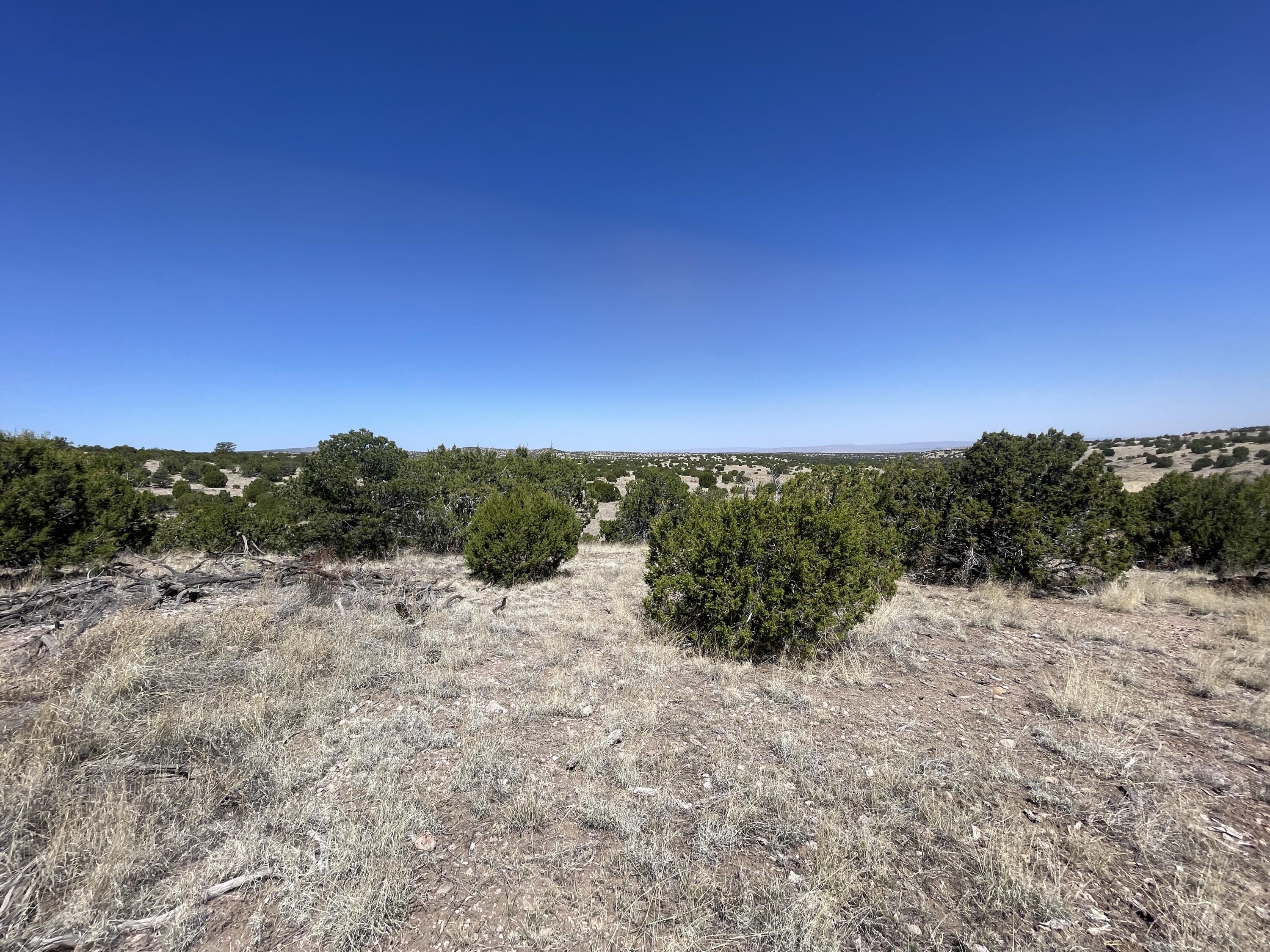 Lot 55 Pinon Springs Ranch, Magdalena, New Mexico image 16