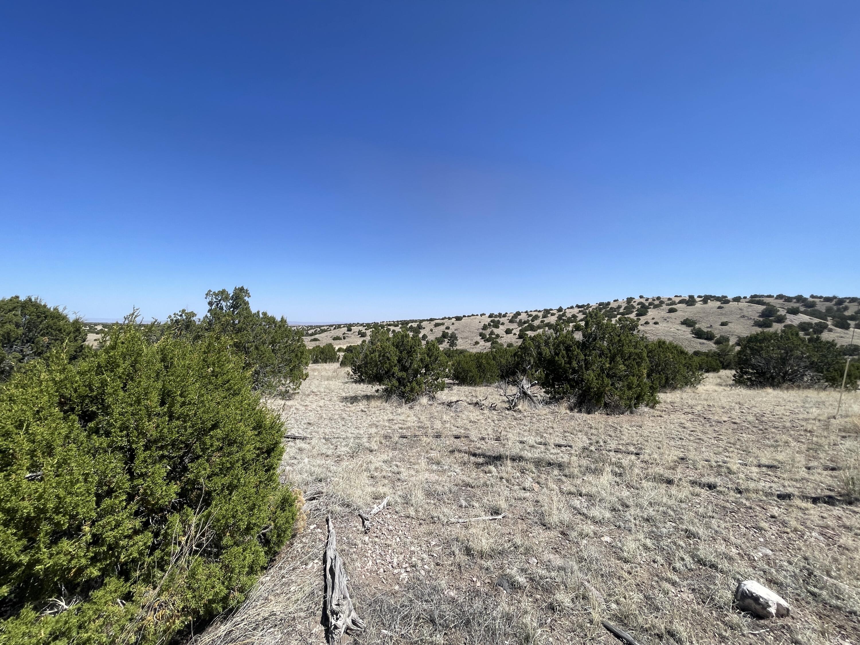 Lot 55 Pinon Springs Ranch, Magdalena, New Mexico image 18