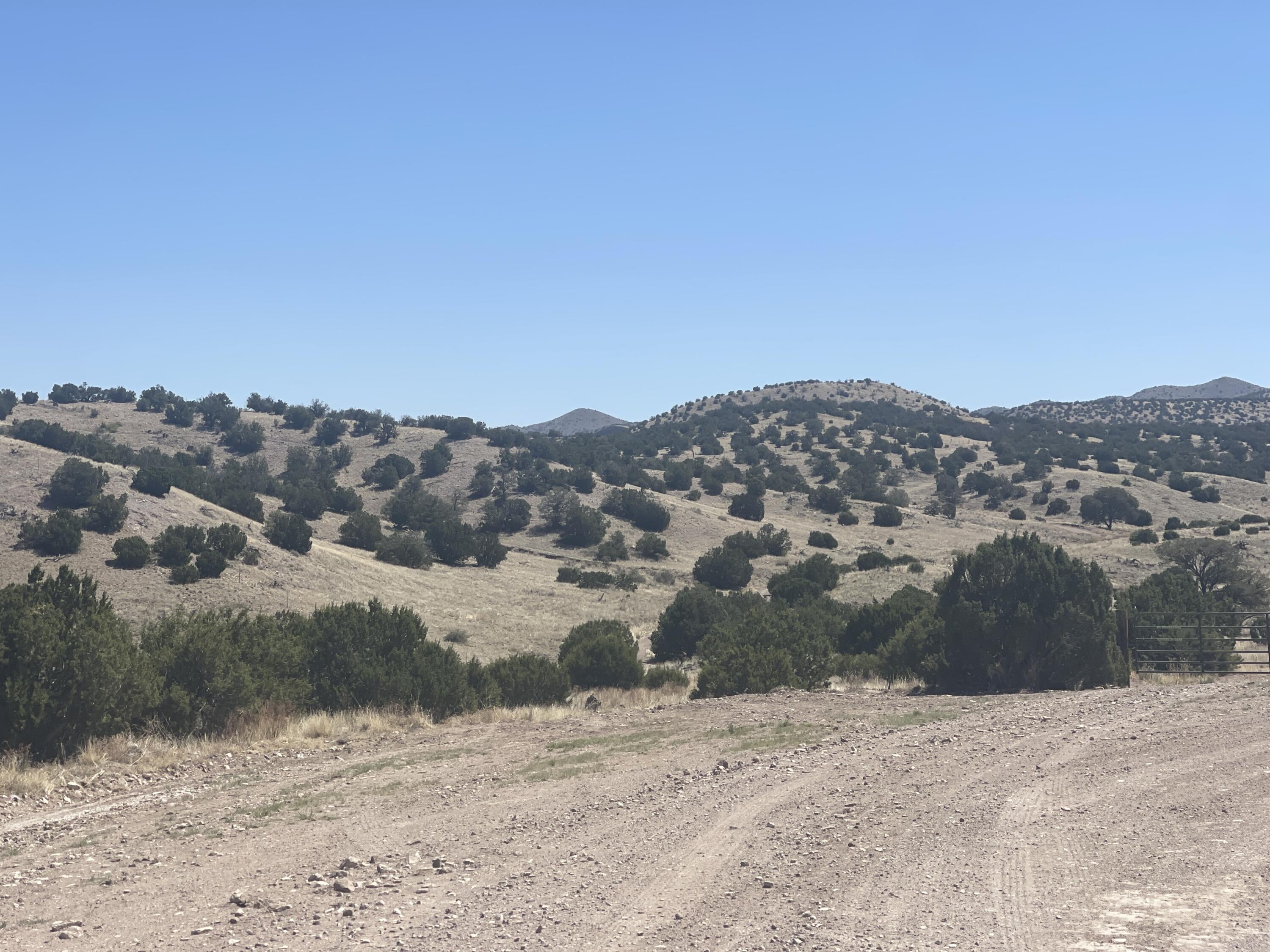 Lot 55 Pinon Springs Ranch, Magdalena, New Mexico image 6