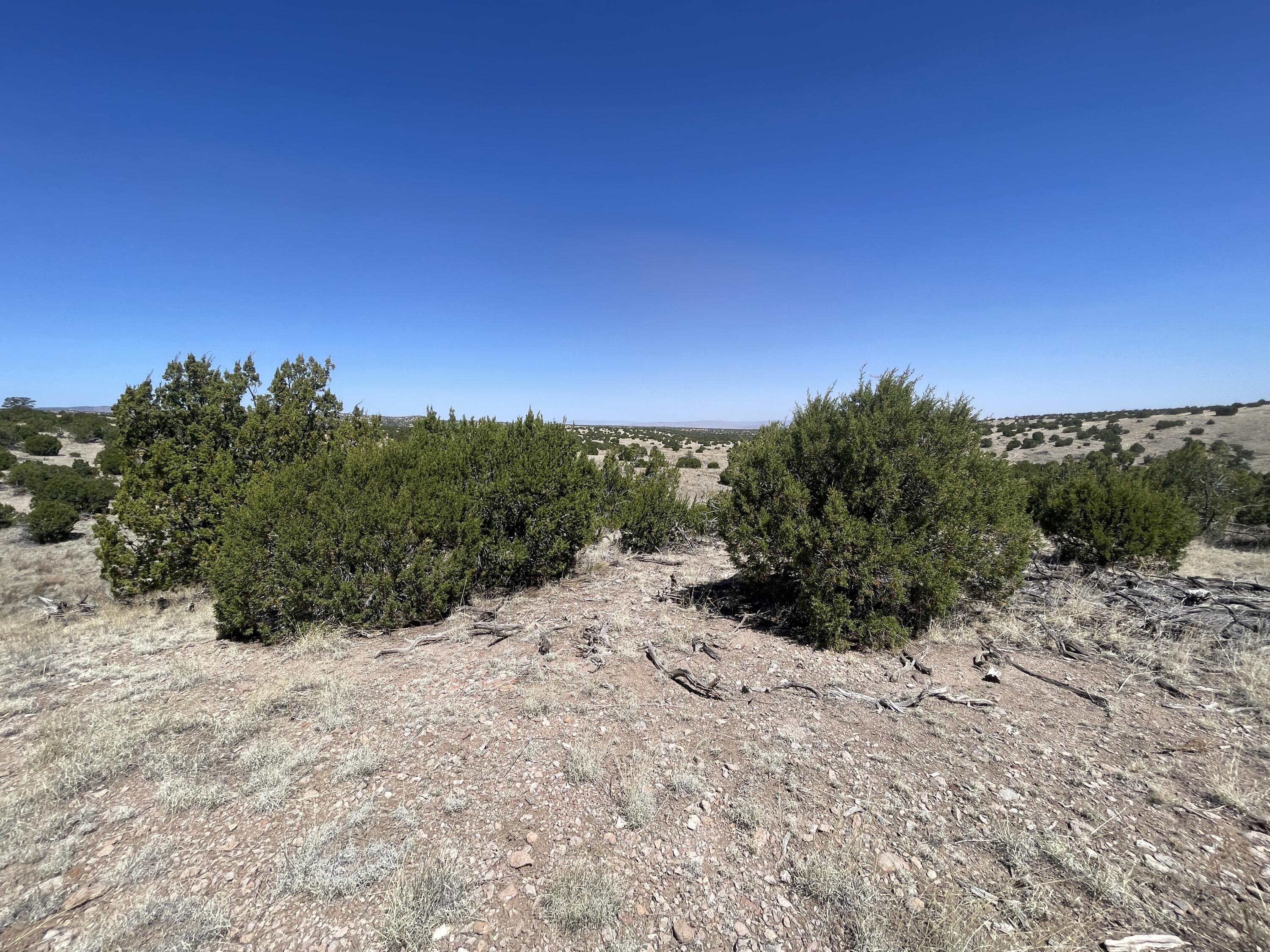 Lot 55 Pinon Springs Ranch, Magdalena, New Mexico image 12