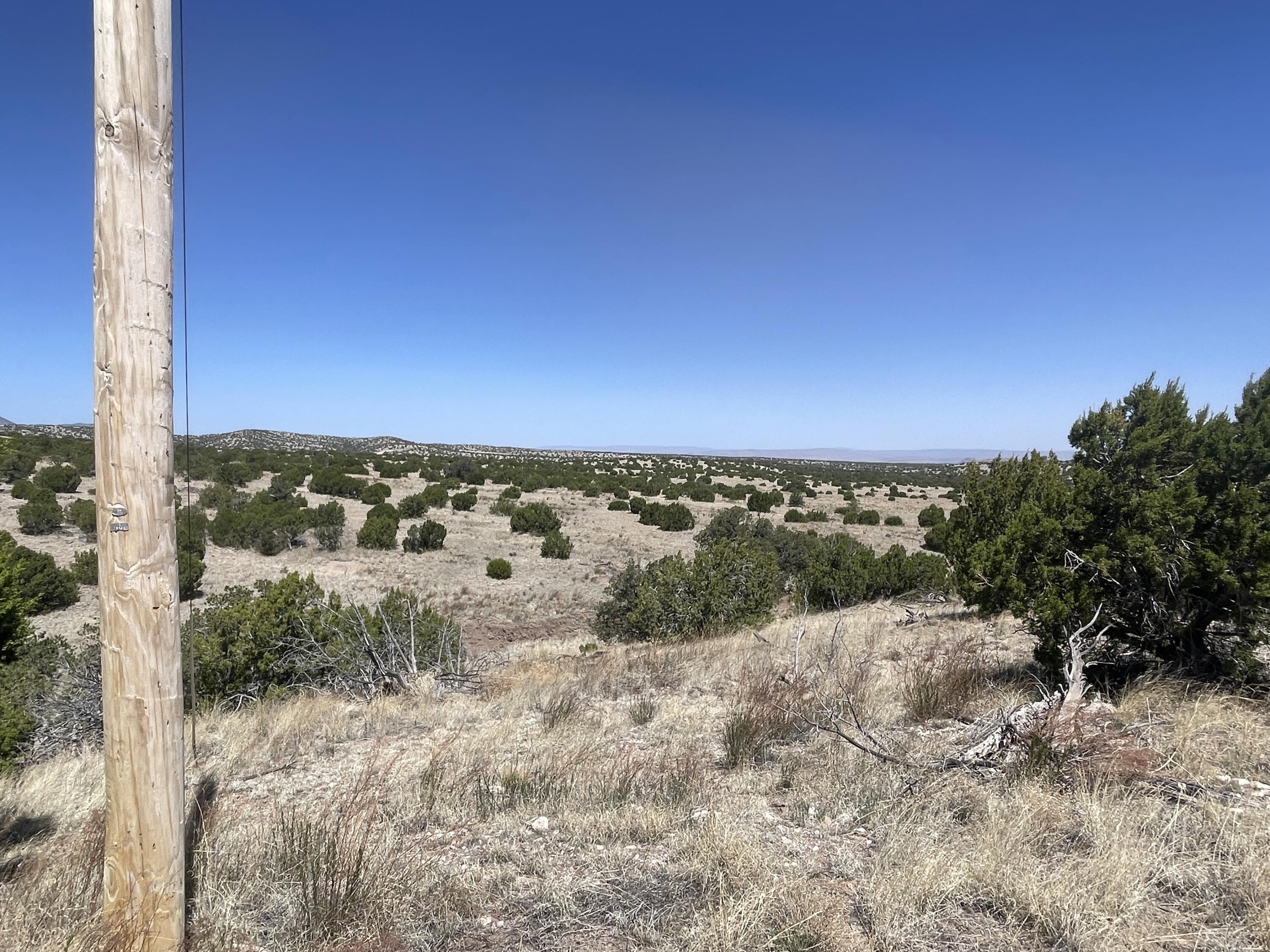 Lot 55 Pinon Springs Ranch, Magdalena, New Mexico image 2