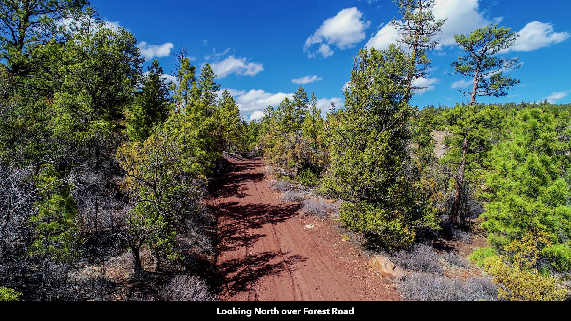 0 Forest Road, Ramah, New Mexico image 30