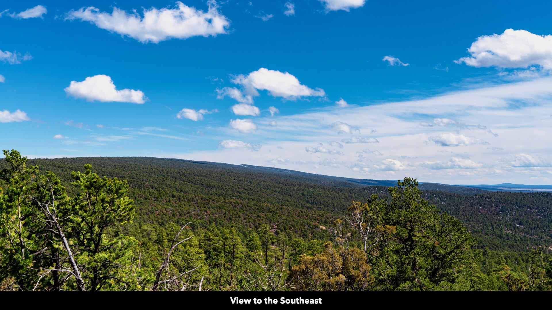 0 Forest Road, Ramah, New Mexico image 32