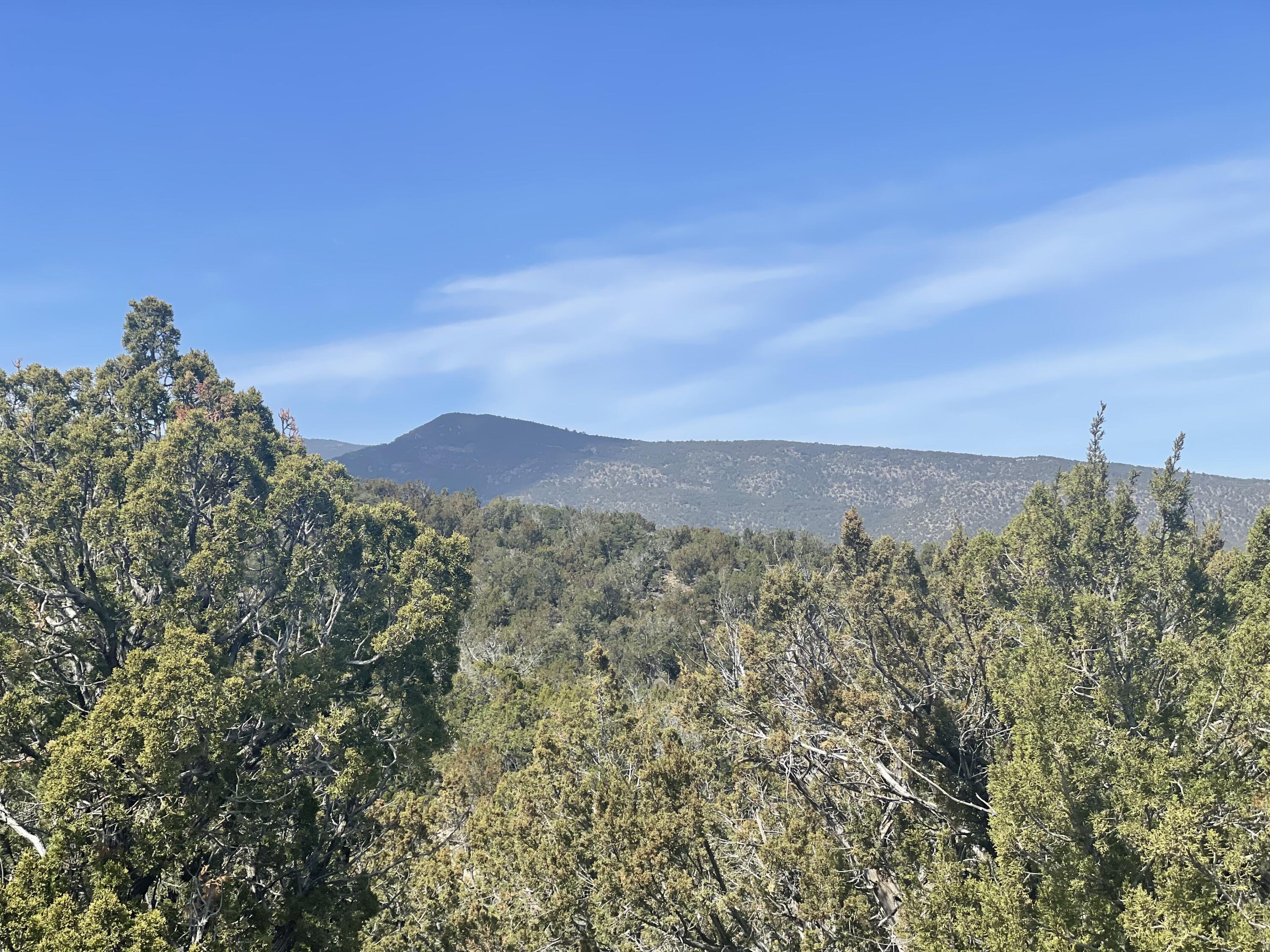 31 Canon Escondido, Sandia Park, New Mexico image 10