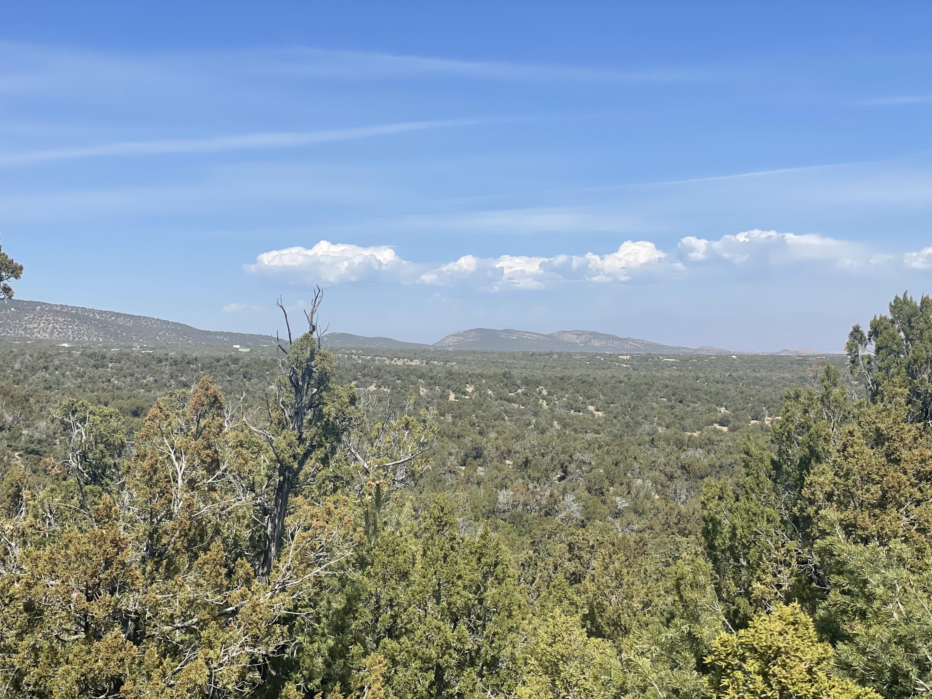 31 Canon Escondido, Sandia Park, New Mexico image 11