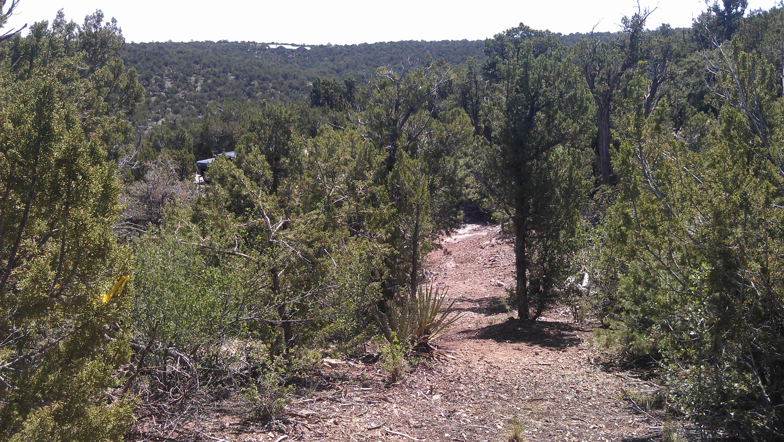31 Canon Escondido, Sandia Park, New Mexico image 4