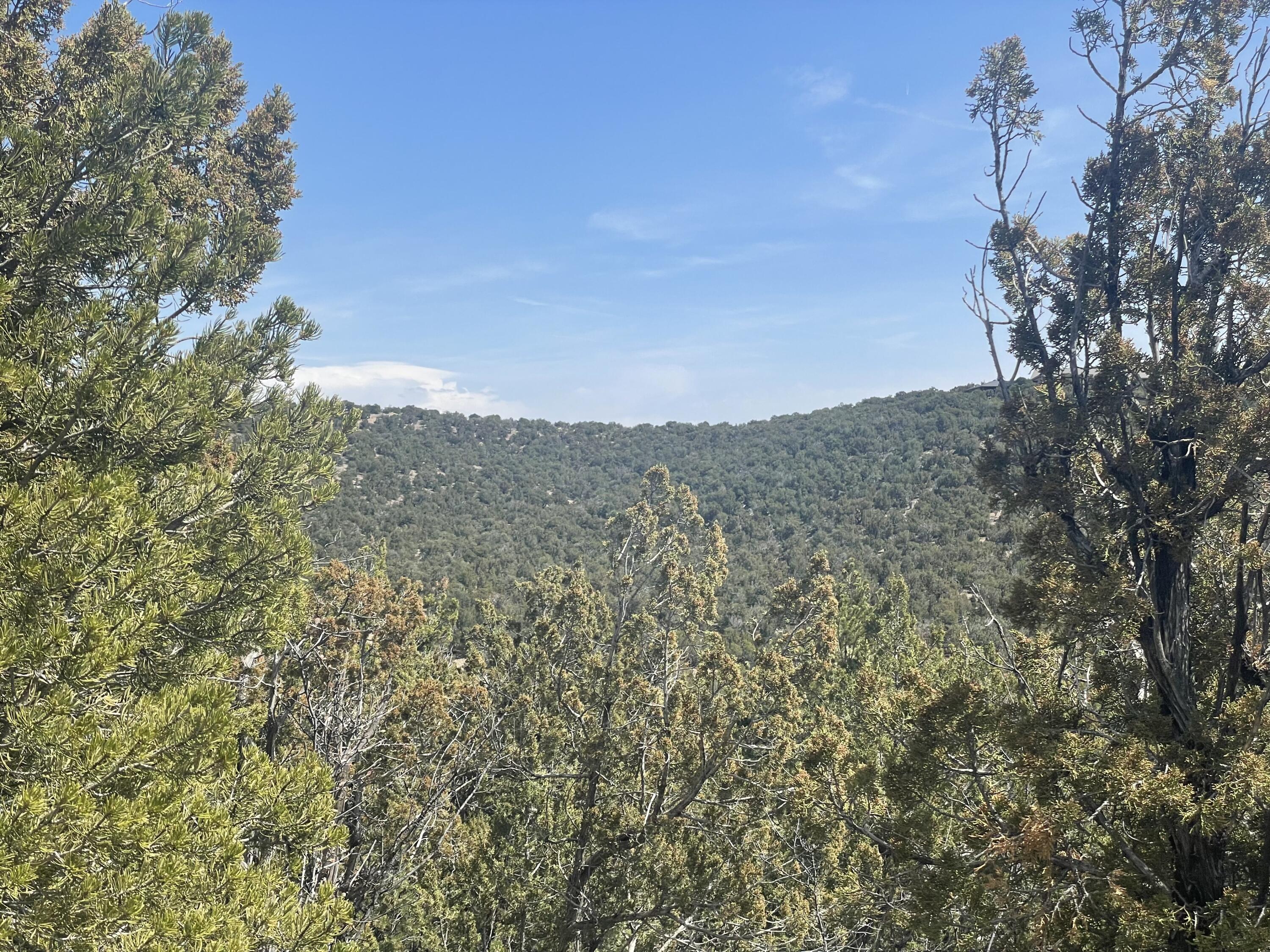 31 Canon Escondido, Sandia Park, New Mexico image 13