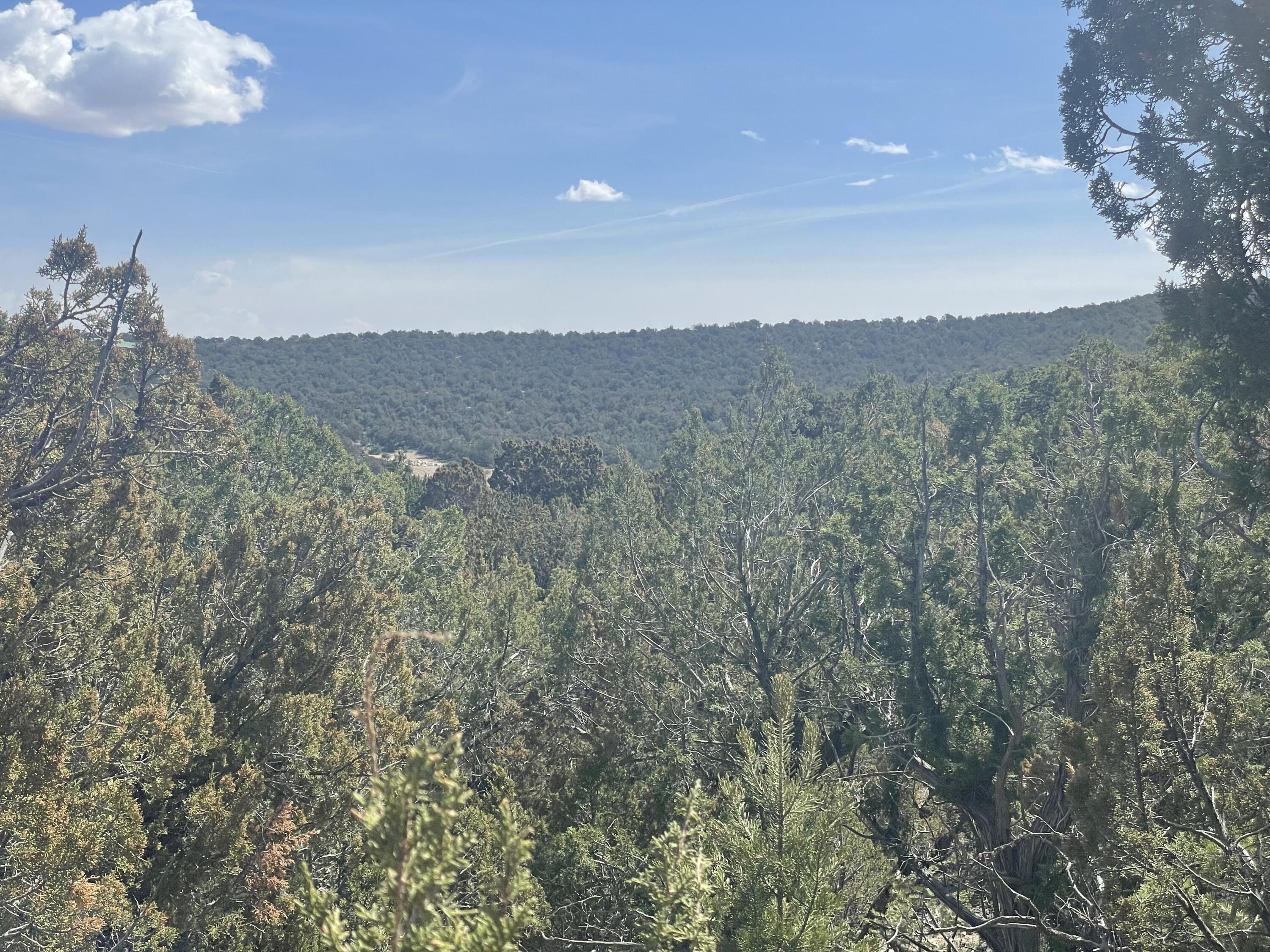 31 Canon Escondido, Sandia Park, New Mexico image 14