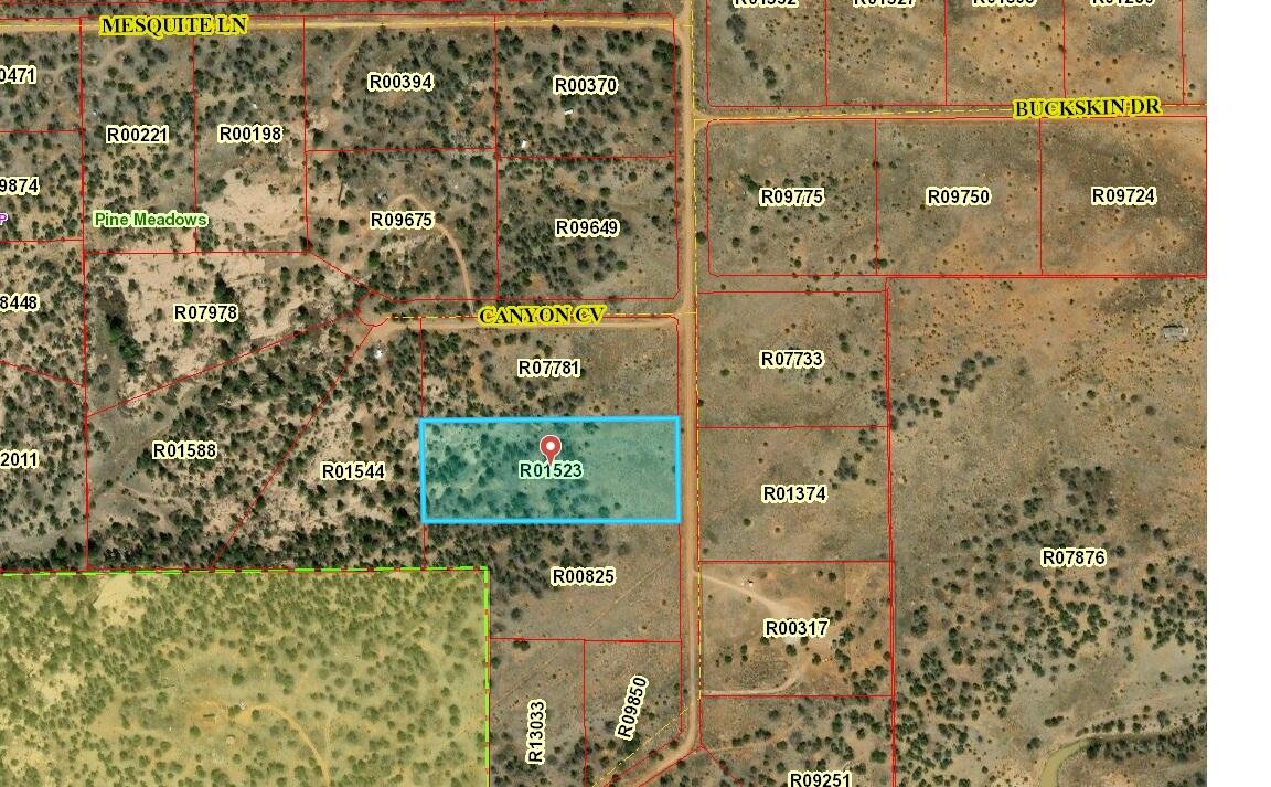 Lot 204 Meadow Drive, Ramah, New Mexico image 2