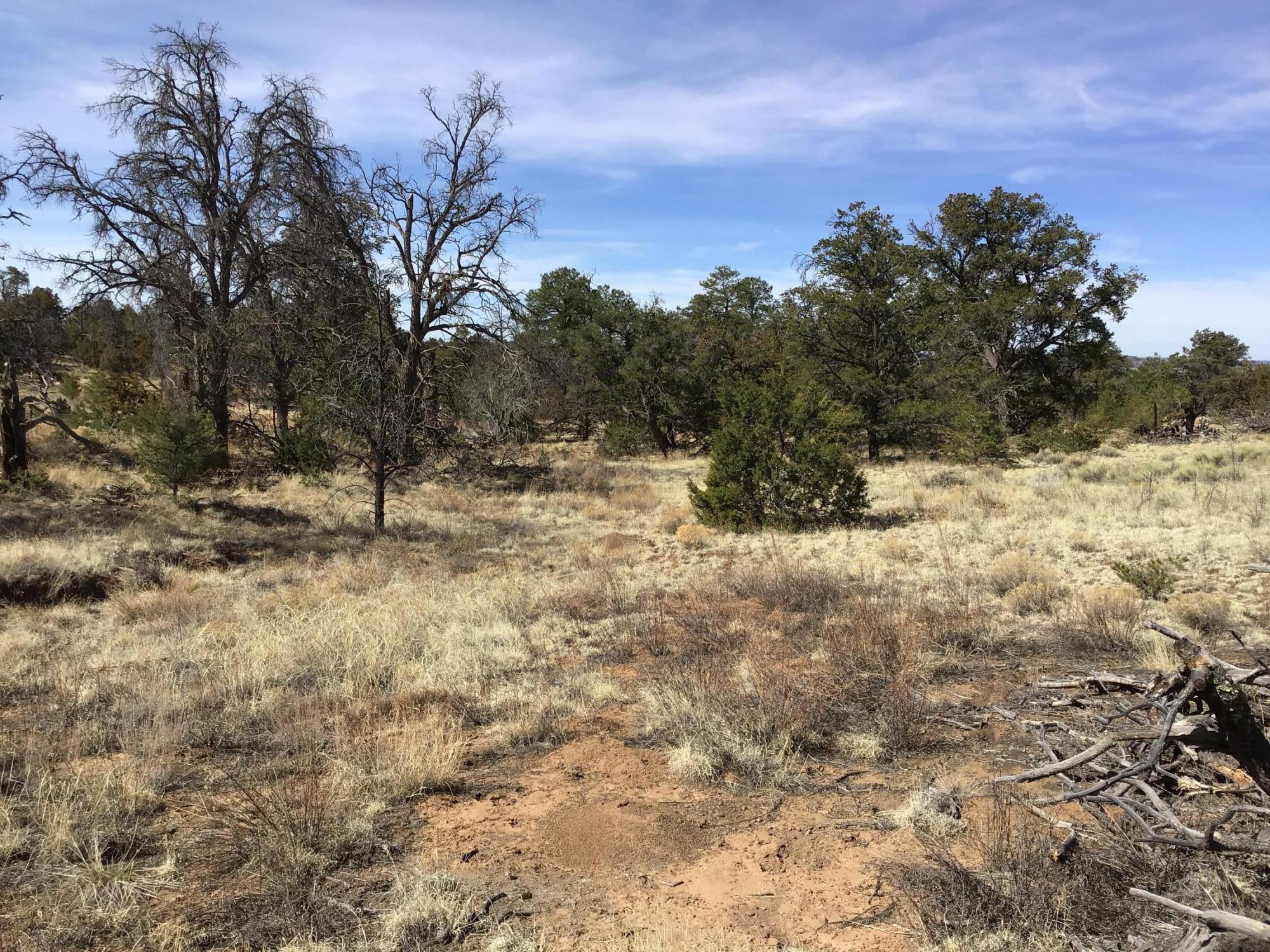 Lot 204 Meadow Drive, Ramah, New Mexico image 6