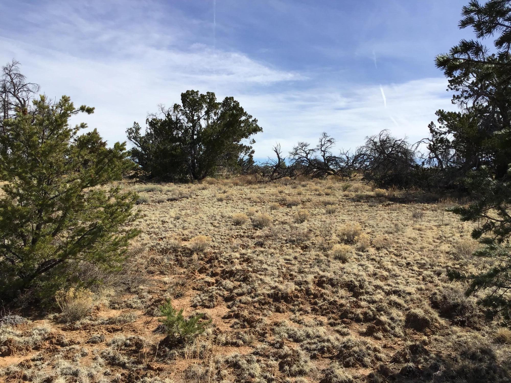 Lot 204 Meadow Drive, Ramah, New Mexico image 13