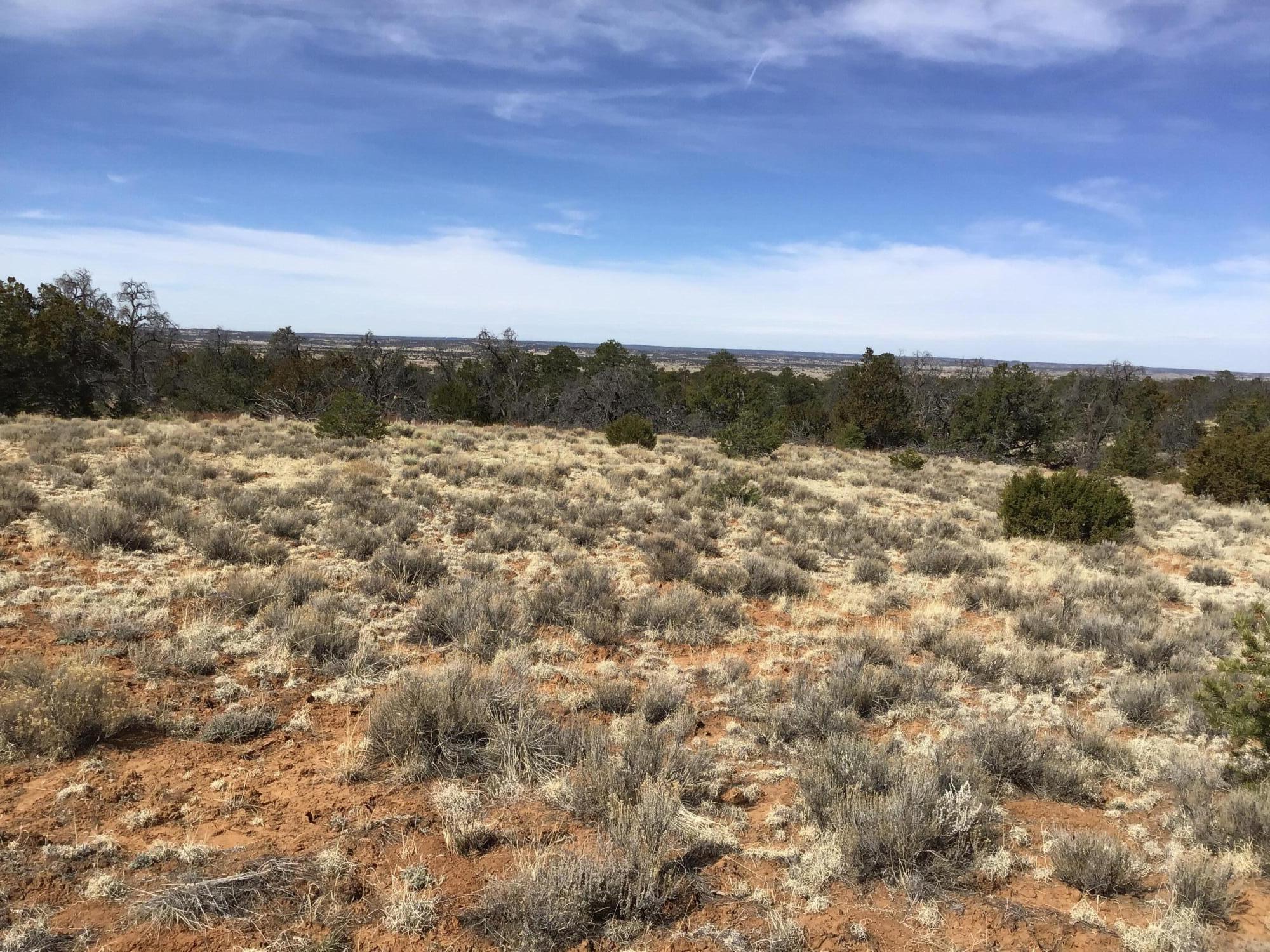 Lot 204 Meadow Drive, Ramah, New Mexico image 1