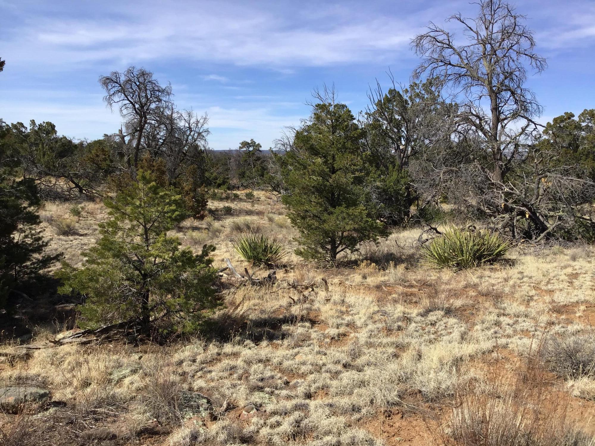 Lot 204 Meadow Drive, Ramah, New Mexico image 5